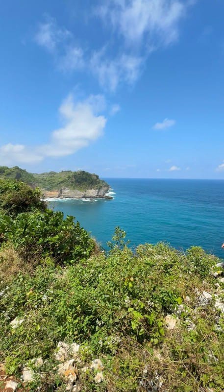TANAH LUAS 3,9 HA VIEW PANTAI SADENG GIRISUBO GUNUNG KIDUL COCOK UNTUK RESORT/VILLA/ECOTOURISM