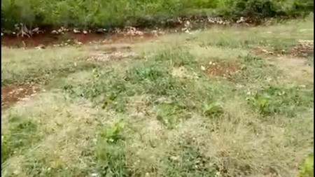 TANAH LUAS 3,9 HA VIEW PANTAI SADENG GIRISUBO GUNUNG KIDUL COCOK UNTUK RESORT/VILLA/ECOTOURISM