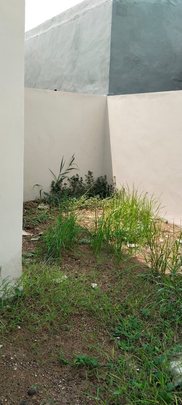 Rumah Baru Siap Huni di Alana Cemandi Sidoarjo