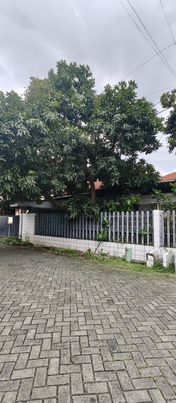 JUAL CEPAT HITUNG TANAH MANYAR TIRTOYOSO SELATAN SURABAYA TIMUR 