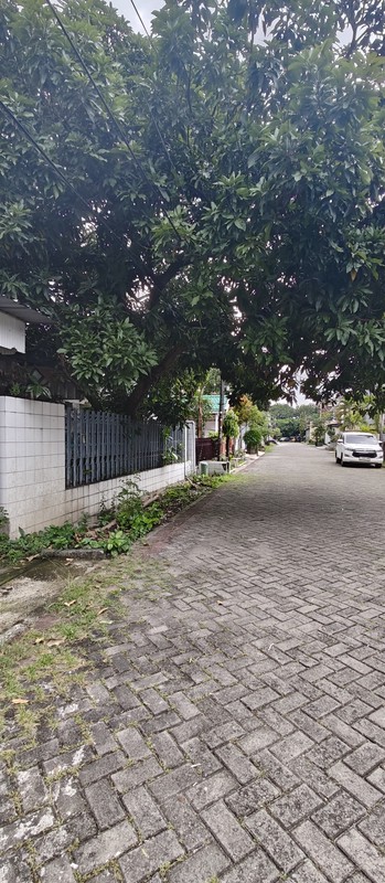 JUAL CEPAT HITUNG TANAH MANYAR TIRTOYOSO SELATAN SURABAYA TIMUR 