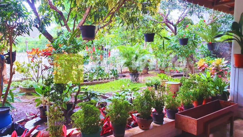 Rumah Tinggal Bagus dan Asri di Tubagus Ismail Bandung