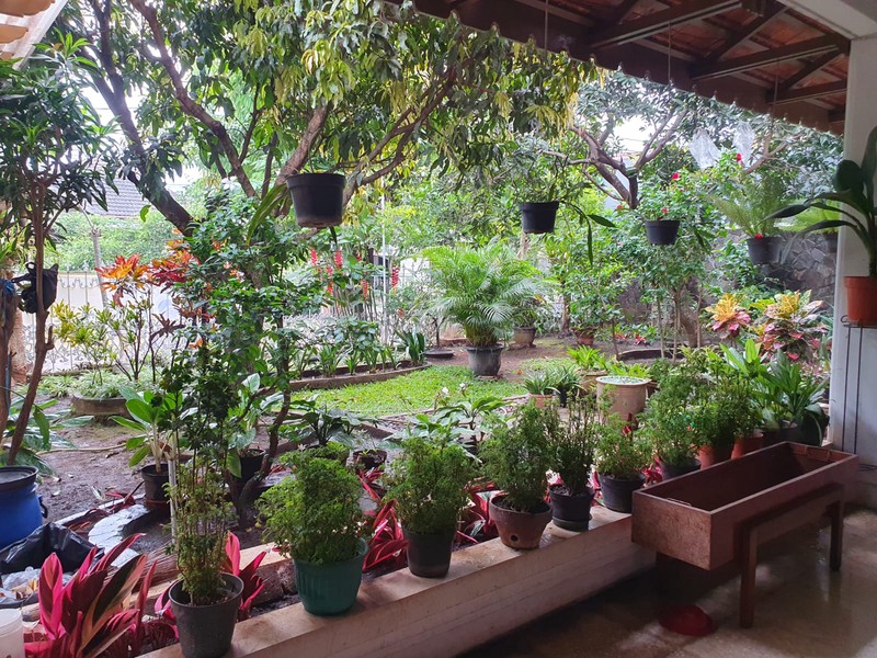 Rumah Tinggal Bagus dan Asri di Tubagus Ismail Bandung