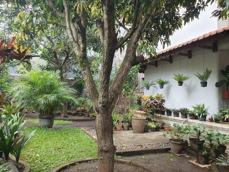 Rumah Tinggal Bagus dan Asri di Tubagus Ismail Bandung