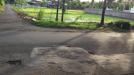 2033. Dijual Tanah di Anyelir Kec Praya Lombok Tengah NTB 