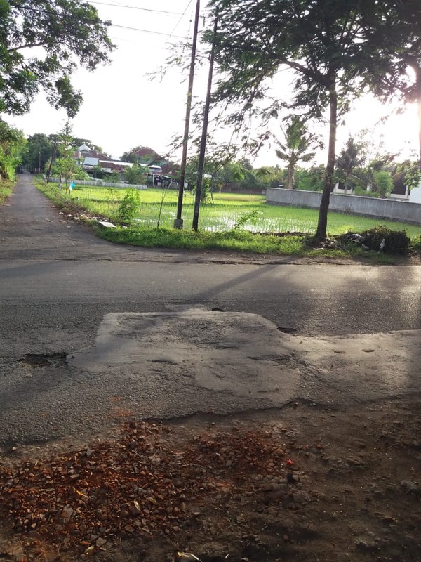 2033. Dijual Tanah di Anyelir Kec Praya Lombok Tengah NTB 