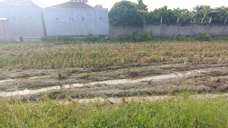 Tanah Luas 1.16 Hectar Cocok Untuk Investasi / Usaha Lokasi Strategis di Brebes - Jawa Tengah 