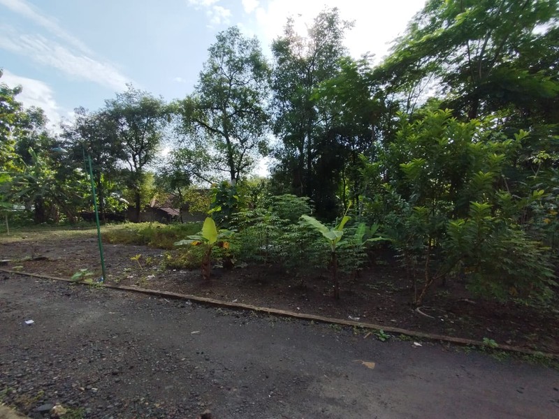 Tanah Lokasi Strategis Lokasi Bangunjiwo - Kasihan Bantul 