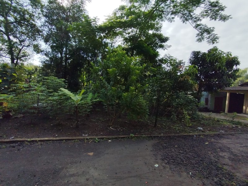 Tanah Lokasi Strategis Lokasi Bangunjiwo - Kasihan Bantul 