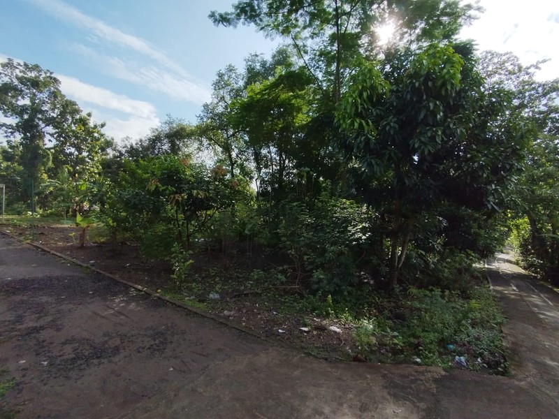 Tanah Lokasi Strategis Lokasi Bangunjiwo - Kasihan Bantul 