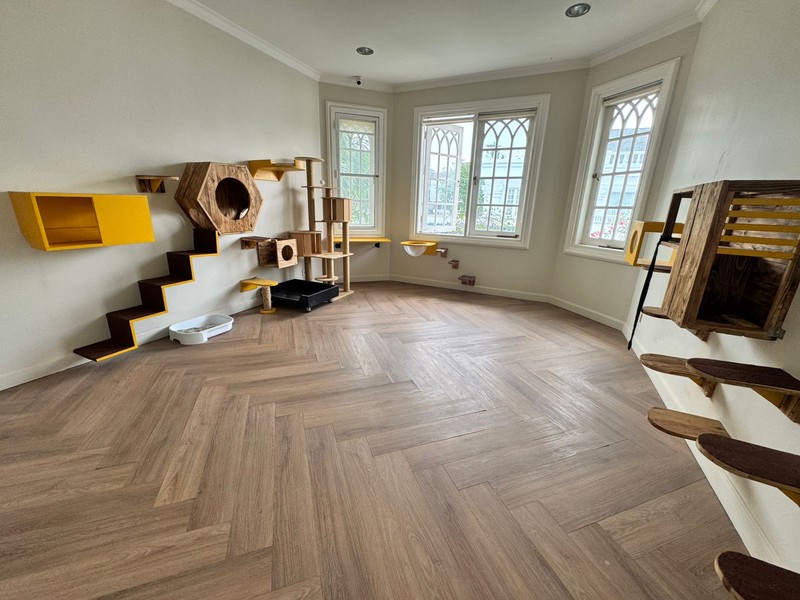 Rumah Strategis Cilandak Ada Kolam Renang