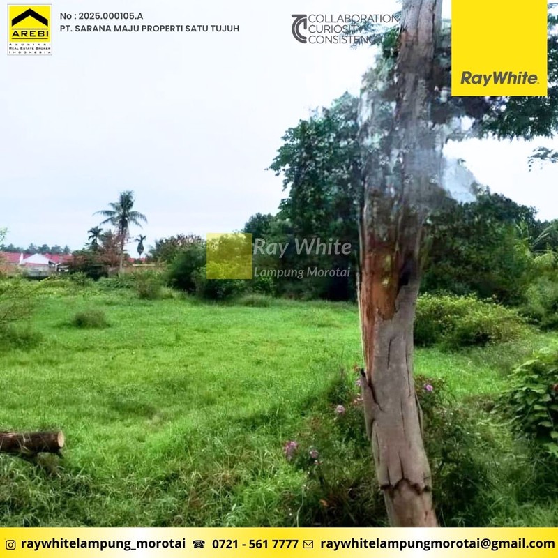 Dijual Tanah Berlokasi di Rajabasa Kota Bandar Lampung (Rajabasa jaya),