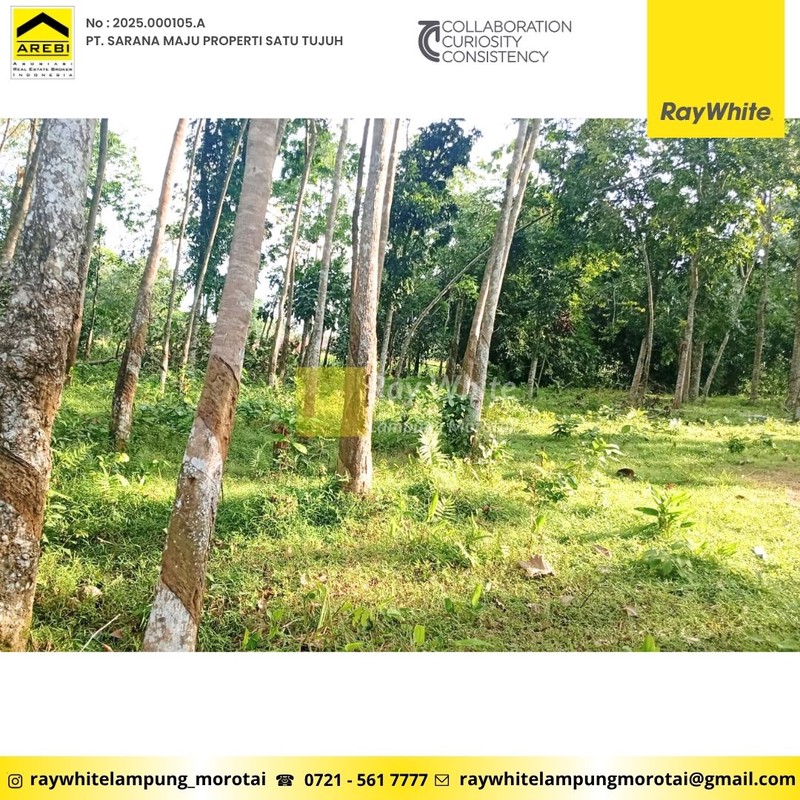 Dijual Tanah Murah - berlokasi di banjar agung - Jati Agung, Lampung selatan