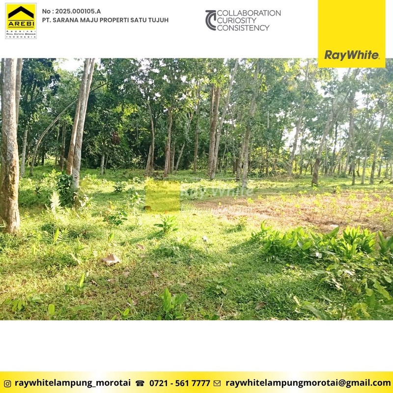 Dijual Tanah Murah - berlokasi di banjar agung - Jati Agung, Lampung selatan