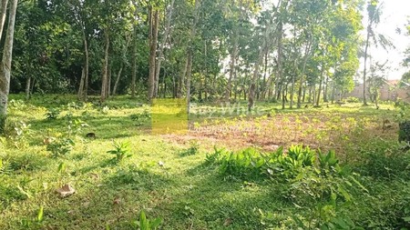 Dijual Tanah Murah - berlokasi di banjar agung - Jati Agung, Lampung selatan