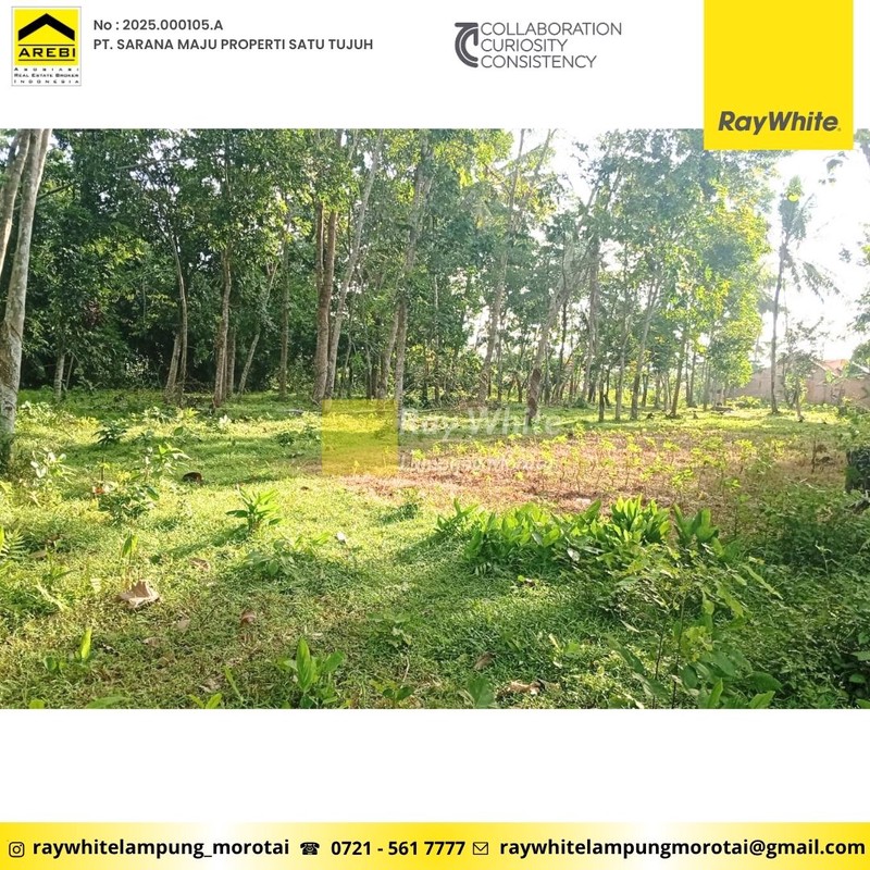 Dijual Tanah Murah - berlokasi di banjar agung - Jati Agung, Lampung selatan