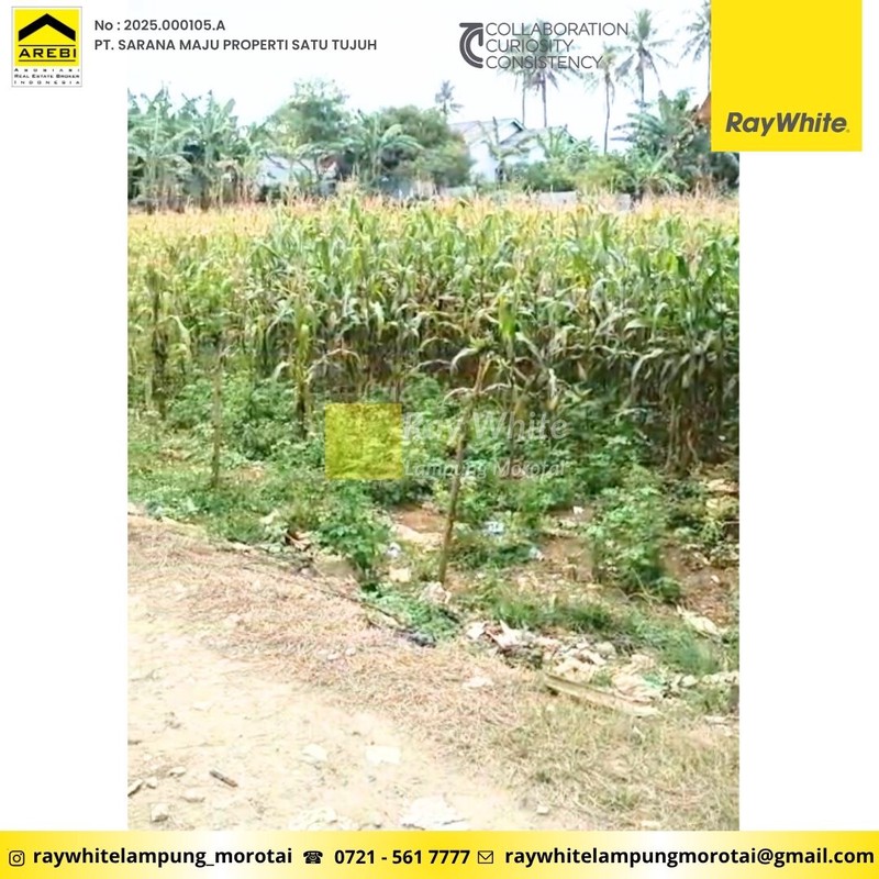 Dijual Tanah Murah - berlokasi strategis di dekat pasar Jati Mulyo, Lampung selatan