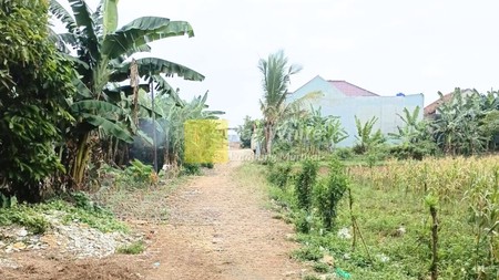 Dijual Tanah Murah - berlokasi strategis di dekat pasar Jati Mulyo, Lampung selatan