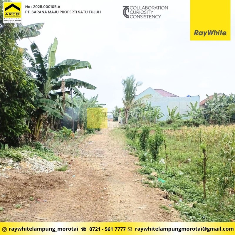 Dijual Tanah Murah - berlokasi strategis di dekat pasar Jati Mulyo, Lampung selatan