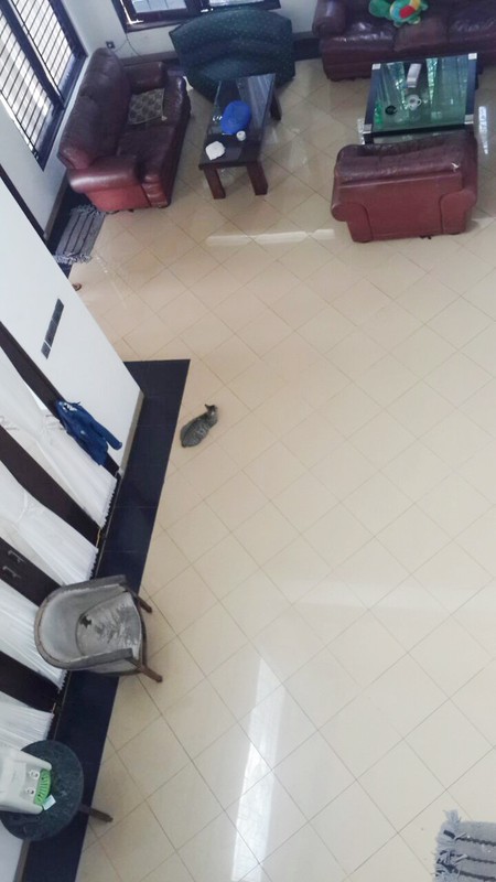 Rumah Luas di Komplek Villa Asean, Pondok Cabe, Pamulang