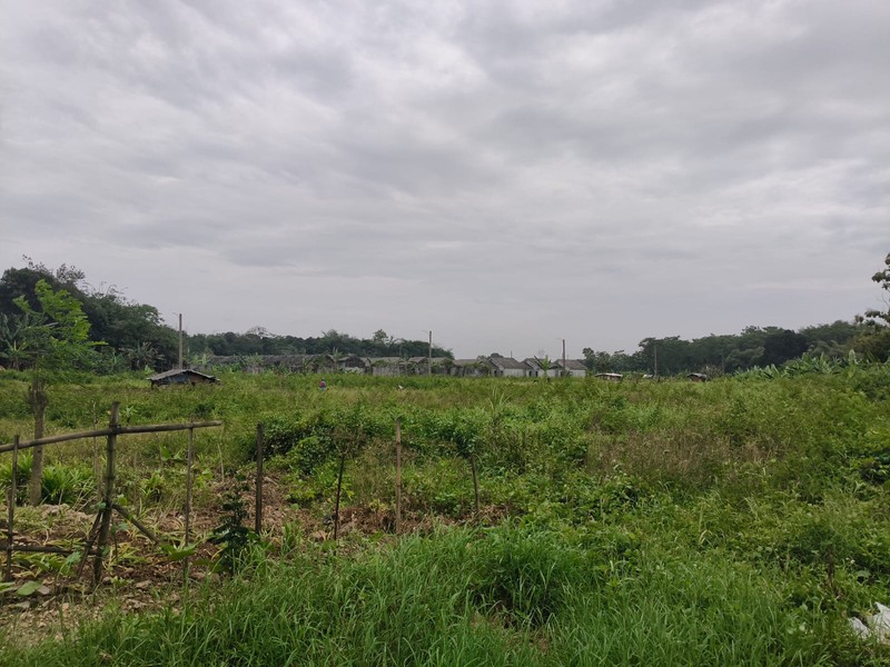 kavling Siap Untuk di Bangun di Klapanunggal Bogor