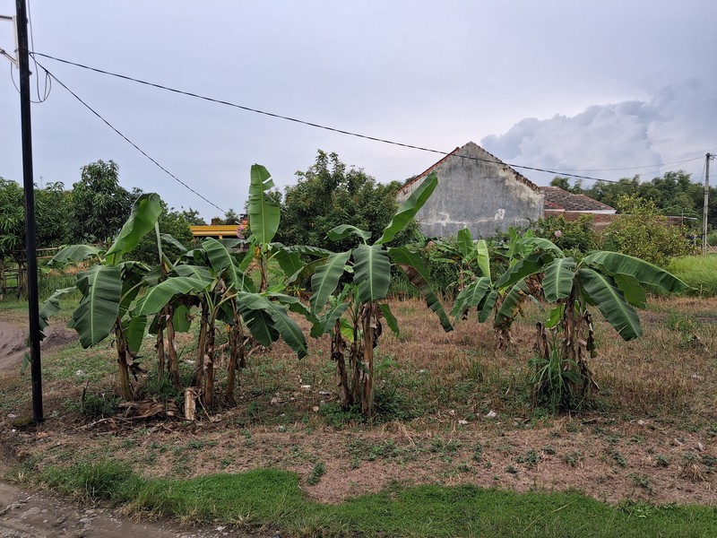 Dijual Tanah Hook di Bumi Rejo Jatirejo Diwek