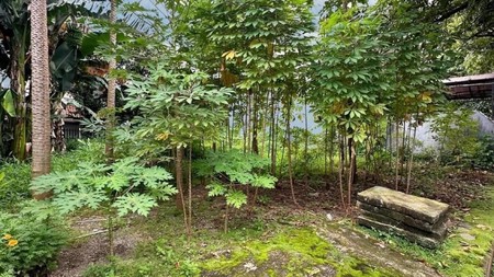 Kavling Di Daerah Tebet, Jakarta Selatan