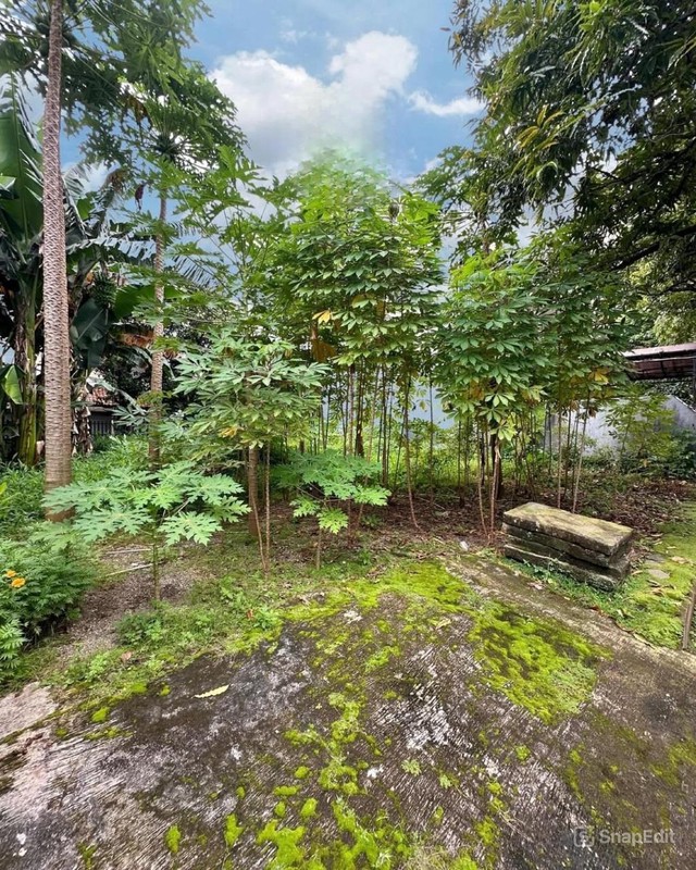 Kavling Di Daerah Tebet, Jakarta Selatan