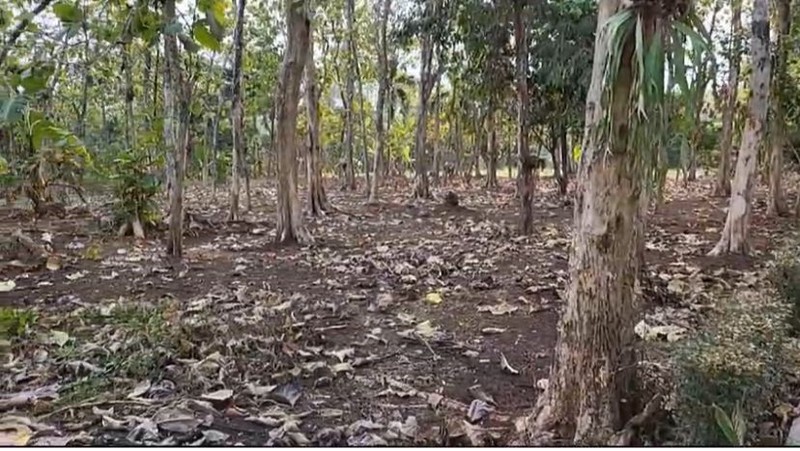 Kavling Di Lokasi Strategis Di Desa Cibeueung Muara Ciseeng Bogor