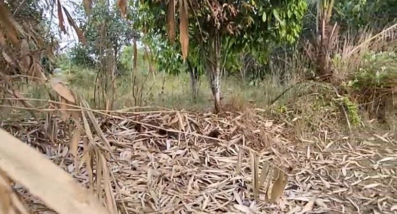 Kavling Di Lokasi Strategis Di Desa Cibeueung Muara Ciseeng Bogor