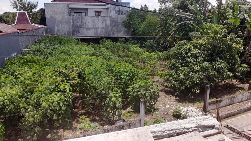 Investasi Tanah Prospektif di Tegal Melati Sinduadi - Kawasan Favorit Dekat Jogja City Mall