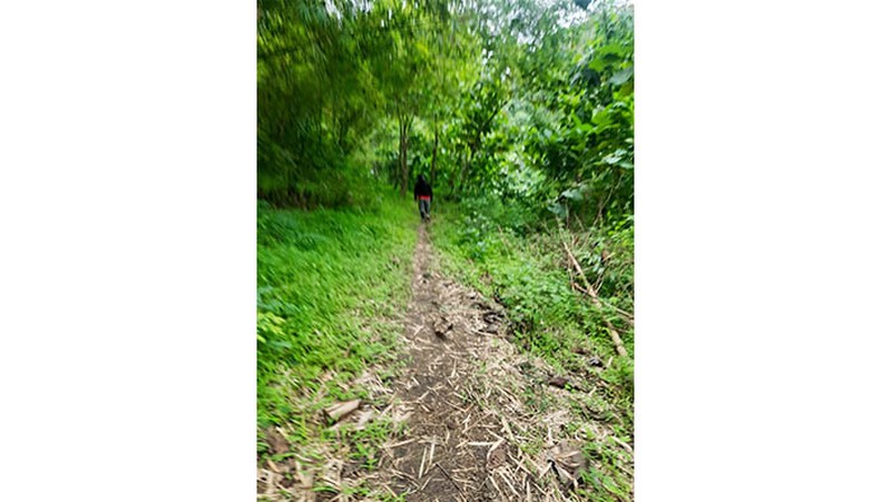 Tanah Jl Raya Sekaran, Gunung Pati, Semarang Lokasi strategis, dikelilingi area kampus2 ternama di semarang, pinggir jalan besar, dekat perumahan elit