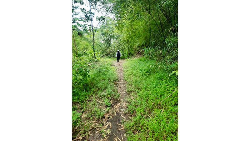 Tanah Jl Raya Sekaran, Gunung Pati, Semarang Lokasi strategis, dikelilingi area kampus2 ternama di semarang, pinggir jalan besar, dekat perumahan elit