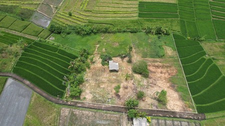 Premium Coastal Land Nyanyi Bali An Exclusive Investment & Lifestyle Opportunity