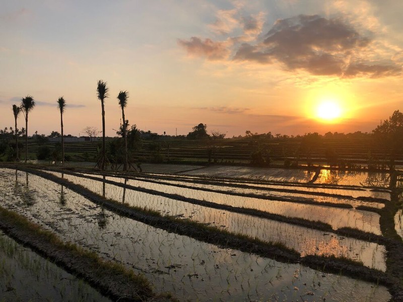 Premium Coastal Land Nyanyi Bali An Exclusive Investment & Lifestyle Opportunity