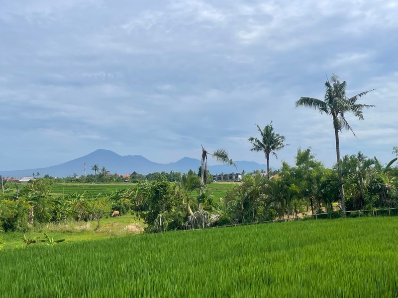 Premium Coastal Land Nyanyi Bali An Exclusive Investment & Lifestyle Opportunity