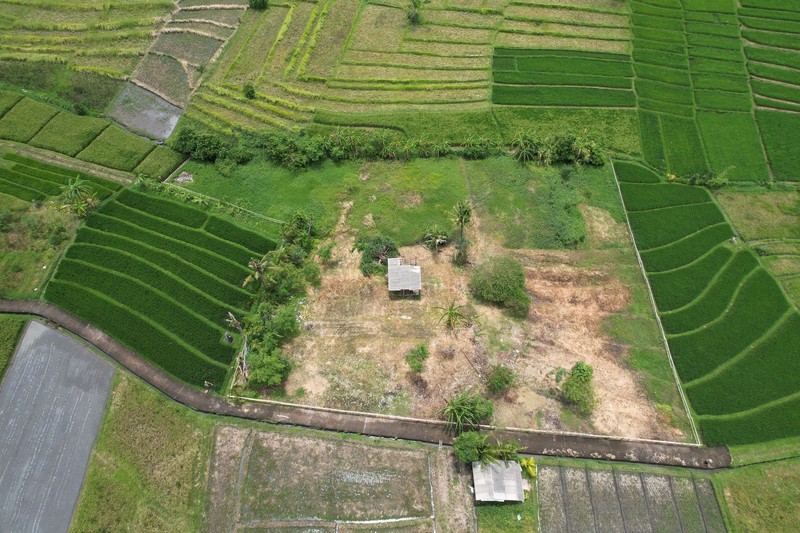 Premium Coastal Land Nyanyi Bali An Exclusive Investment & Lifestyle Opportunity