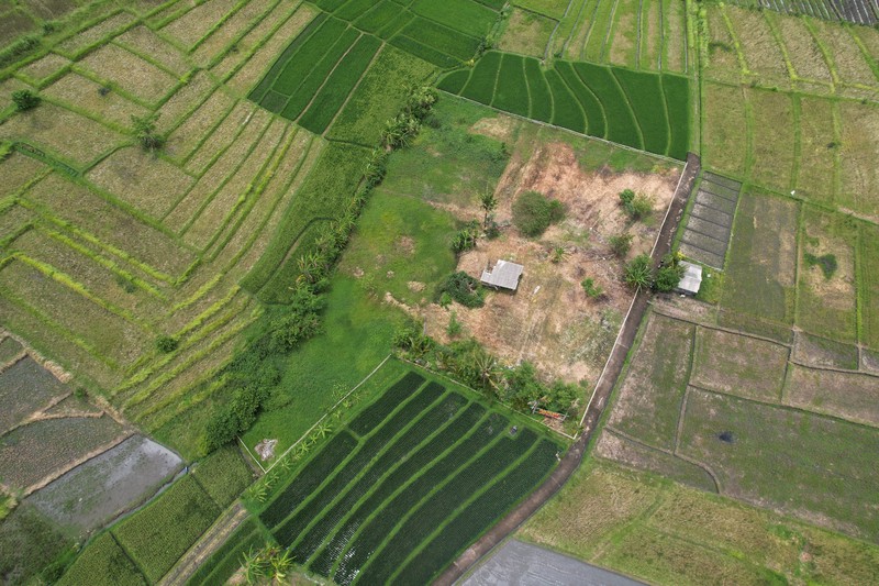 Premium Coastal Land Nyanyi Bali An Exclusive Investment & Lifestyle Opportunity