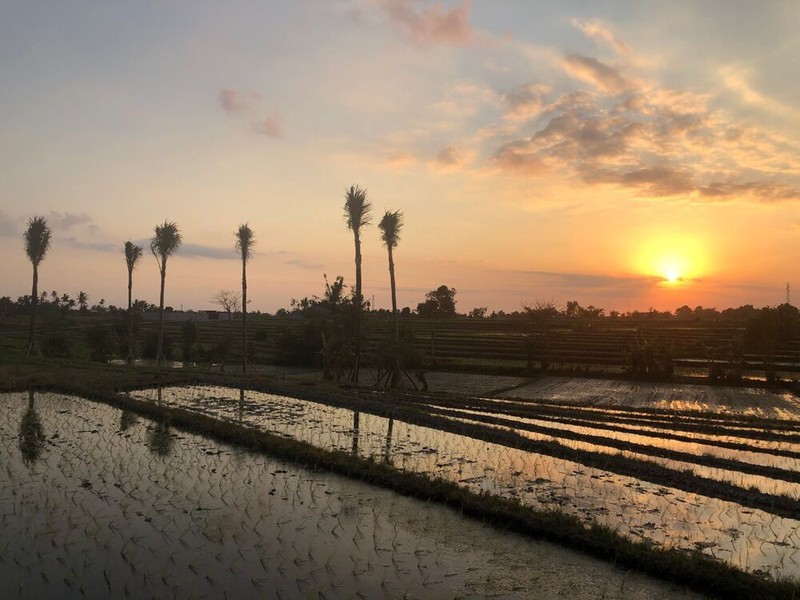 Premium Coastal Land Nyanyi Bali An Exclusive Investment & Lifestyle Opportunity