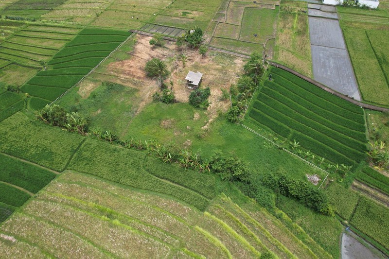 Premium Coastal Land Nyanyi Bali An Exclusive Investment & Lifestyle Opportunity