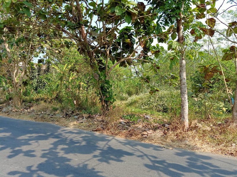 Tanah 4.840 Meter Persegi di Mertoyudan Magelang Sangat Strategis untuk Cluster Perumahan!