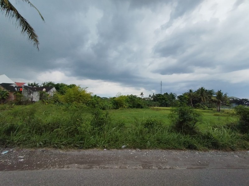 Tanah Luas 1.362 meter Cocok untuk Rumah, Villa, atau Kos di Area Kasian, Bantul, Yogyakarta