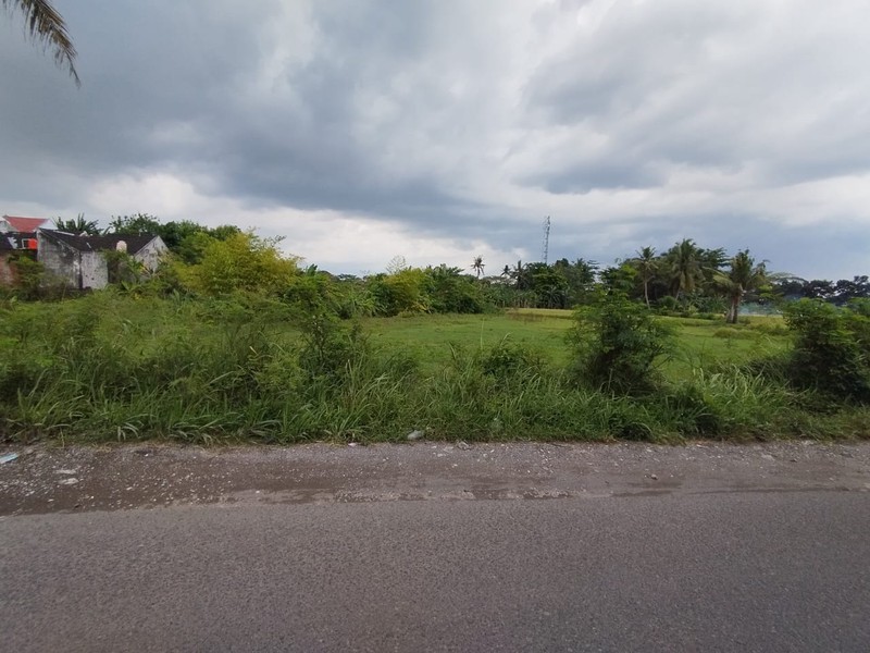 Tanah Luas 1.362 meter Cocok untuk Rumah, Villa, atau Kos di Area Kasian, Bantul, Yogyakarta