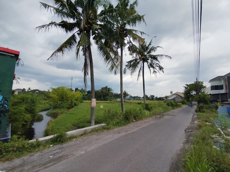 Tanah Luas 1.362 meter Cocok untuk Rumah, Villa, atau Kos di Area Kasian, Bantul, Yogyakarta