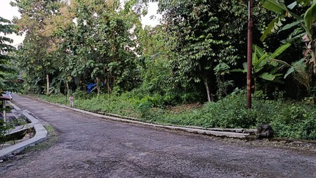 Peluang Investasi, Tanah 909 Meter Persegi Lokasi  Argodadi Sedayu Bantul