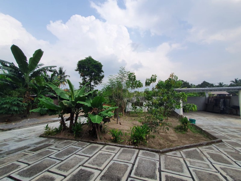 Rumah dg Joglo Berlahan Luas di Jl. Turi km.3, Sleman - DI.Yogyakarta