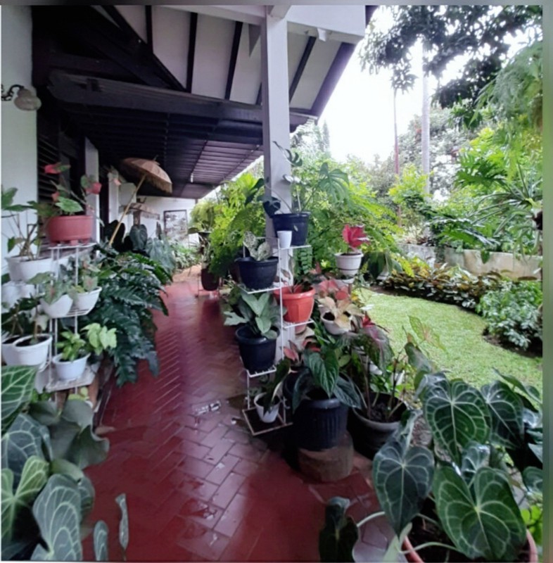 Rumah Siap Huni dan Halaman Luas @Bintaro