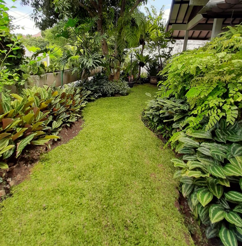 Rumah Siap Huni dan Halaman Luas @Bintaro