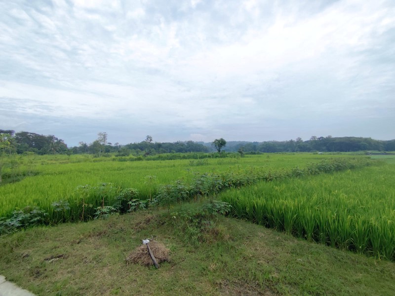 Lahan Super Luas 2,1 Hektar di Pinggir Jalan Nasional Investasi Strategis Dekat Polres & Pusat Kota Wates, Kedungsari, Pengasih, Kulon Progo