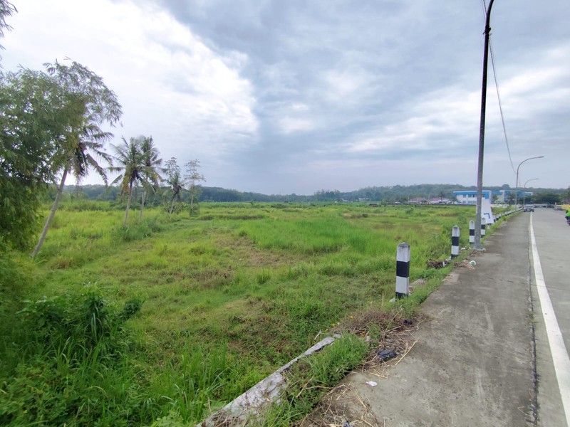 Lahan Super Luas 2,1 Hektar di Pinggir Jalan Nasional Investasi Strategis Dekat Polres & Pusat Kota Wates, Kedungsari, Pengasih, Kulon Progo